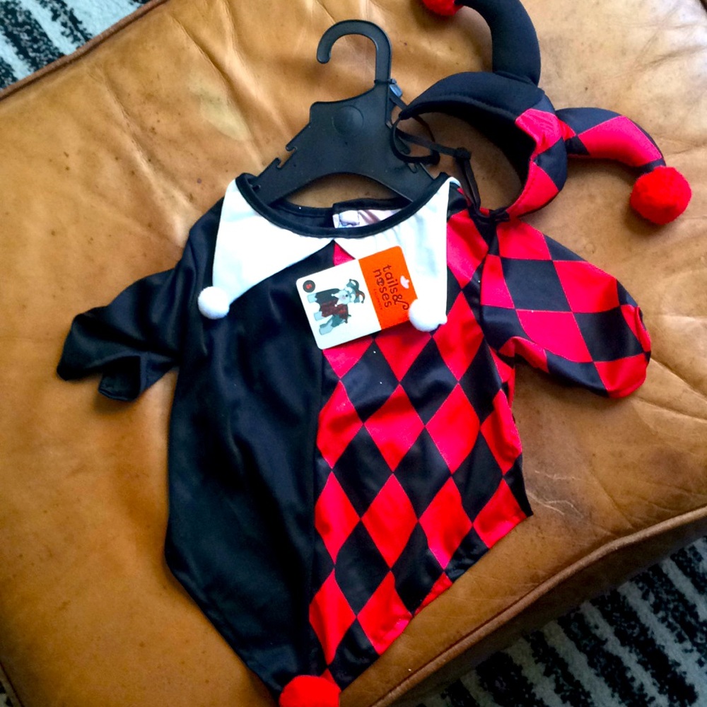 Dog Jester Costume,NWT $10, Size S